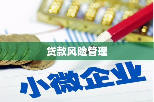 策勒贷款风险管理