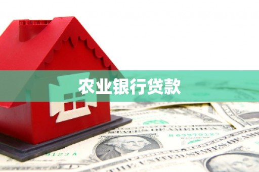 中堂农业银行贷款